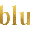 site icon - blu hotel group